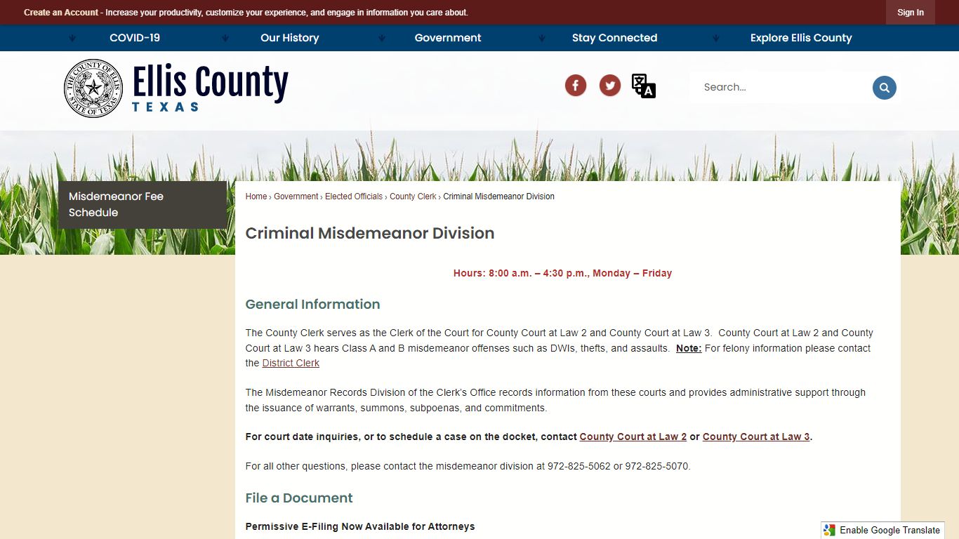 Criminal Misdemeanor Division | Ellis County, TX Official ...